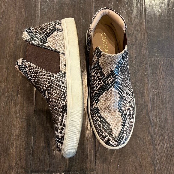 Matisse Harlan snake sneaker - Picture 3 of 5